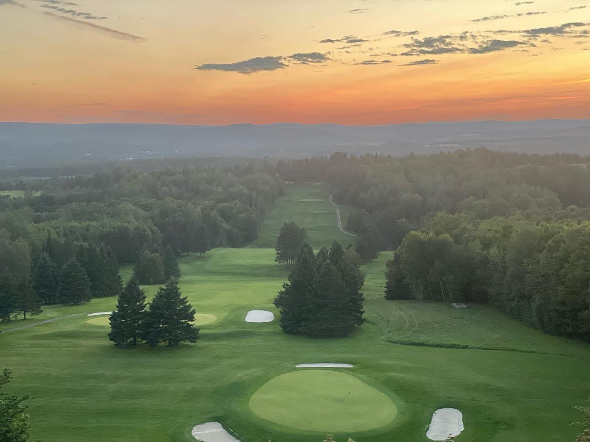 Andrew McQuade tweet media