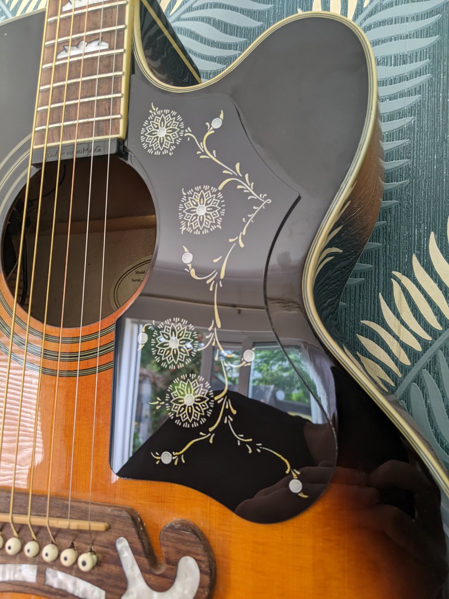 Deliamo1's tweet photo. Thank you Tim @giginked for my new custom scratch plate. A pleasure to deal with and great quality product. Check out https://t.co/tmO6qpASsK for custom plates / skins / cab covers. https://t.co/ecC7F4WpO8