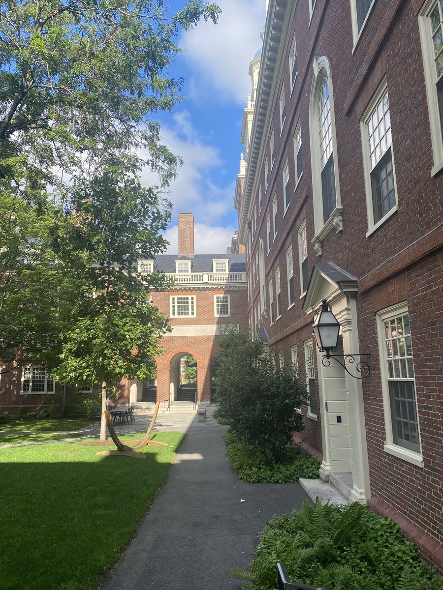 Haim Moore tweet media