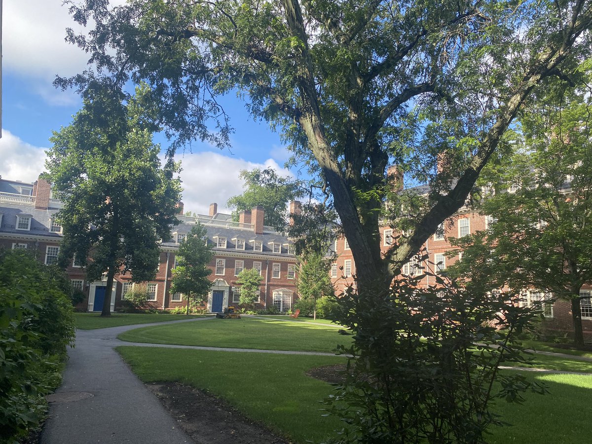 Haim Moore tweet media