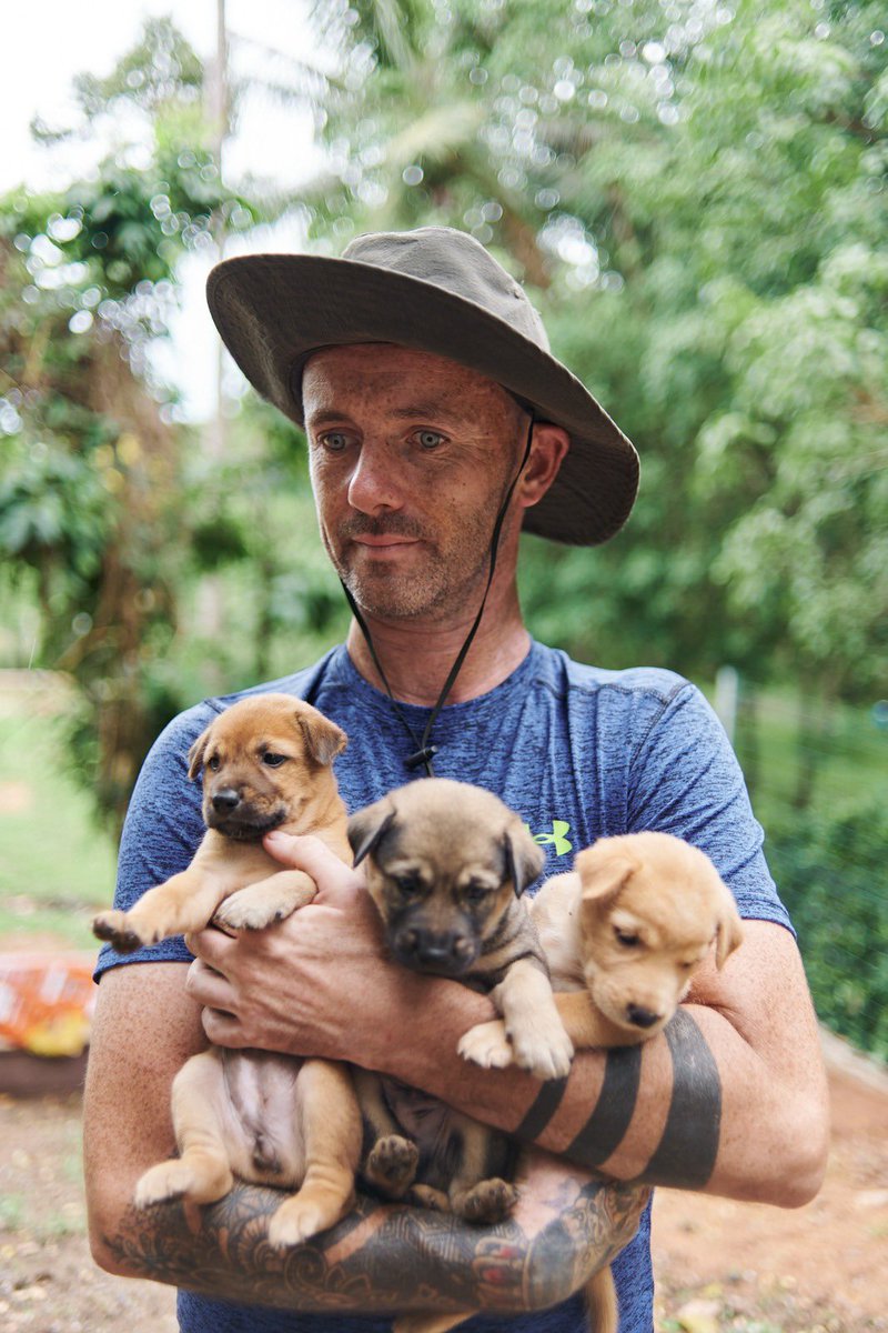 If you like the dogs I help this prize is for you…

✈️ 2 paid tickets to Thailand 

🏨 1 week stay in hotel all paid 

🐶 🌴 Help out with the dogs and shadow me for a week. 

You can enter here yqlbvnsvsbc.typeform.com/to/OQSq9D1V

📚 The book is out 2 weeks today. You can pre-order here