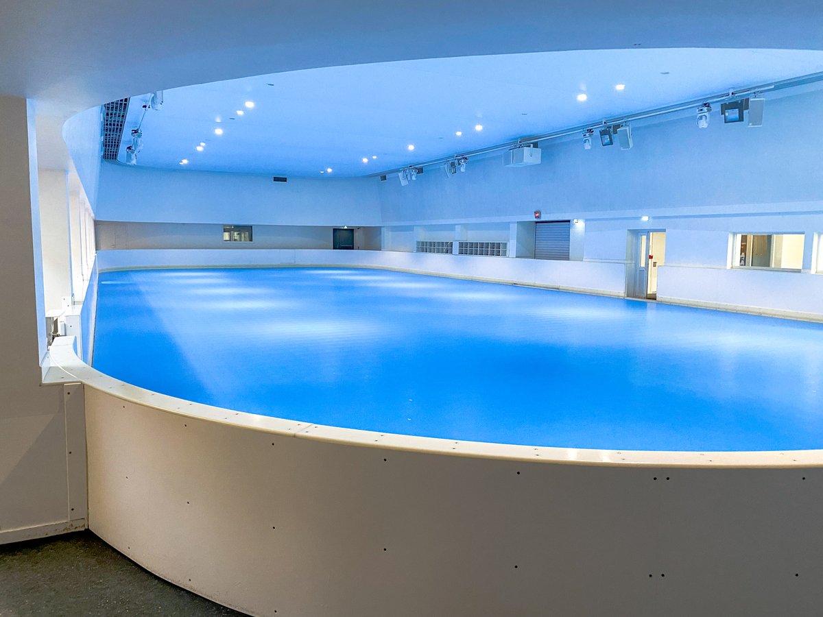 Synerglace tweet media