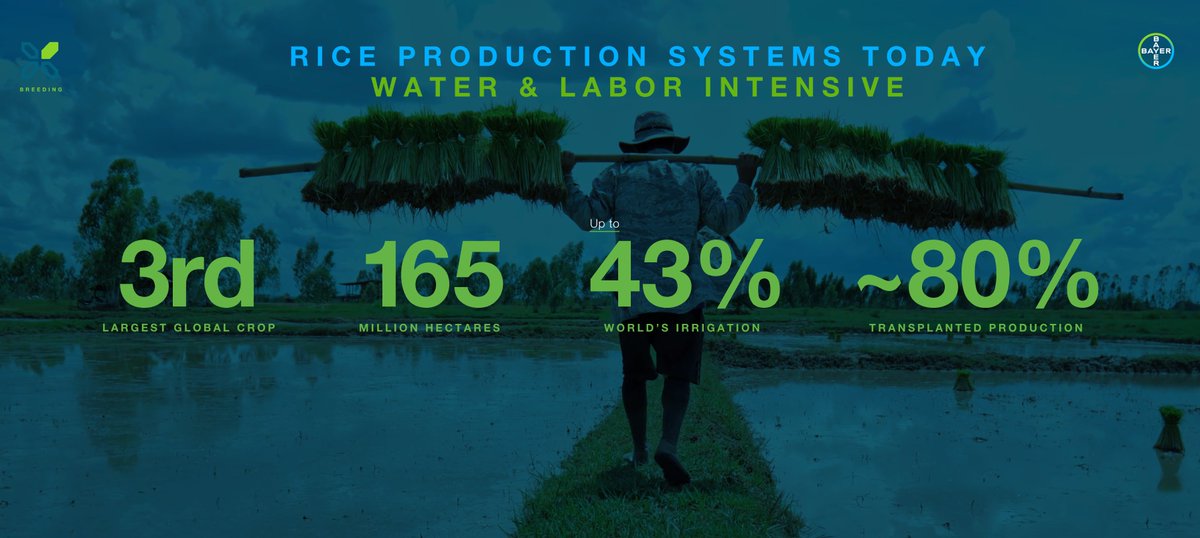 Bob Reiter tweet media