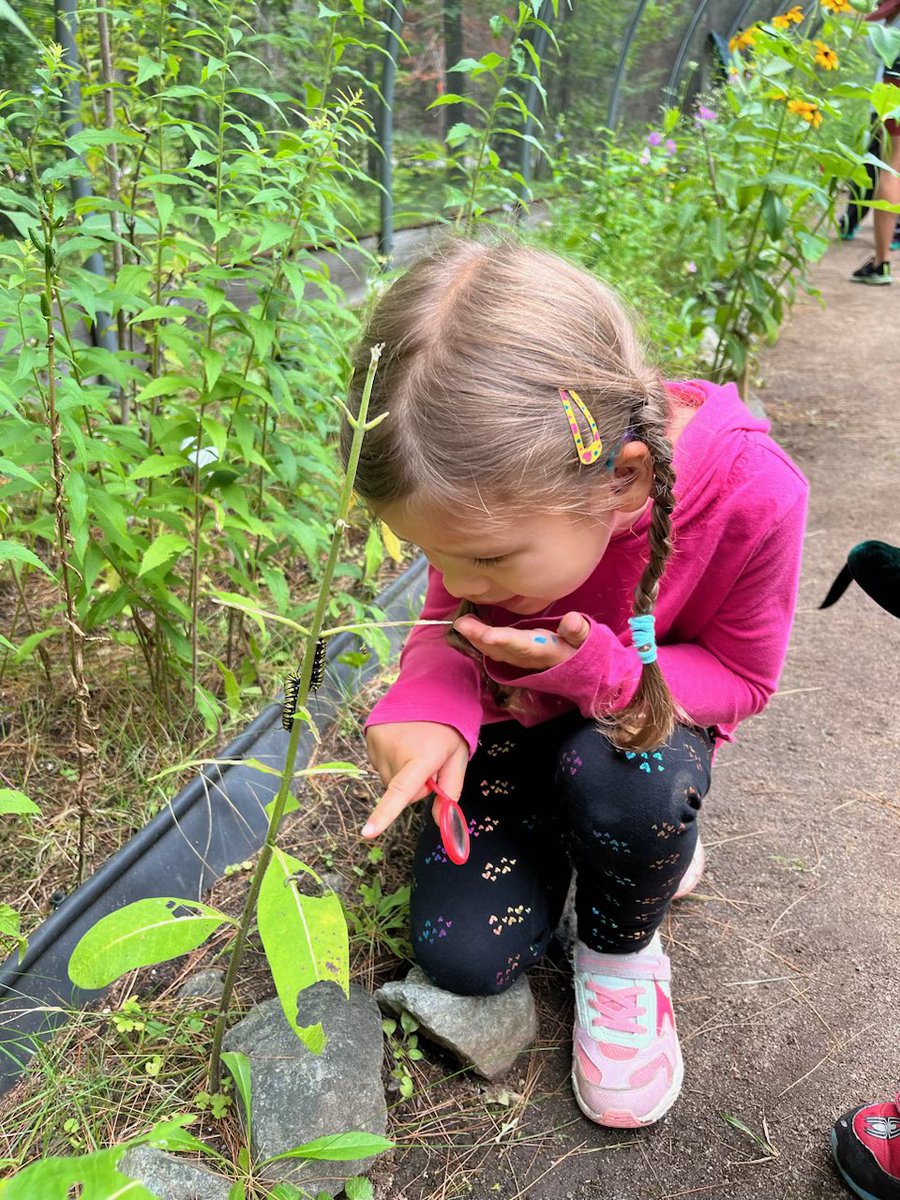 Bring your family for a magical time in our Butterfly House!