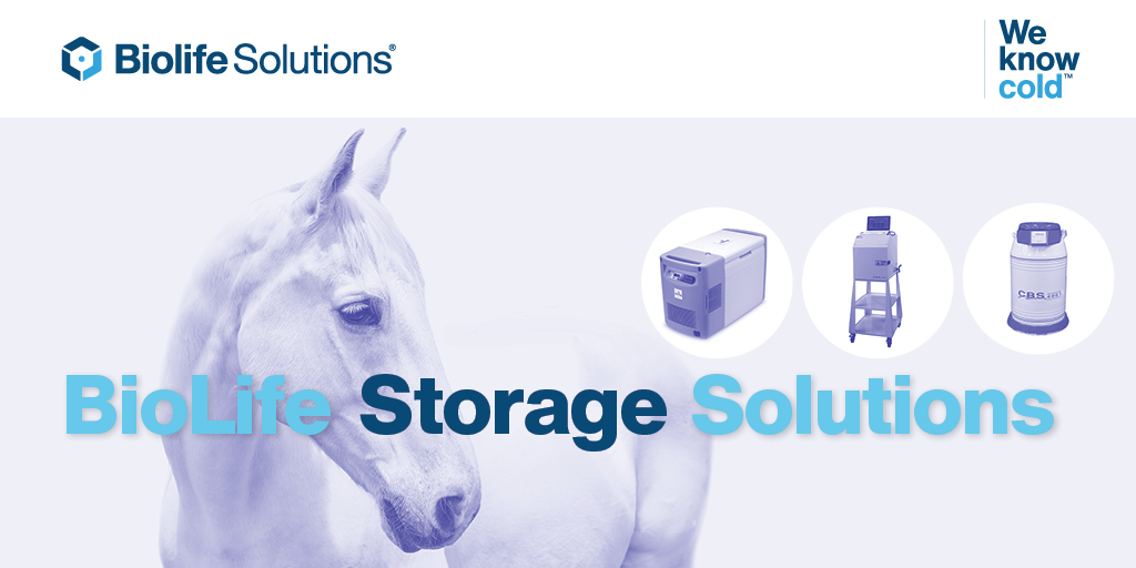 Come visit <a href="/biolifesol/">BioLife Solutions</a> in booth 264 at the Southwest Vet Symposium in San Antonio, TX, Sept. 21-24. Let’s connect and discuss how our LN2 and ULT freezer solutions can simplify your livestock sample storage needs. 
#veterinary #vettech #animalhealth #texas #SWVS23