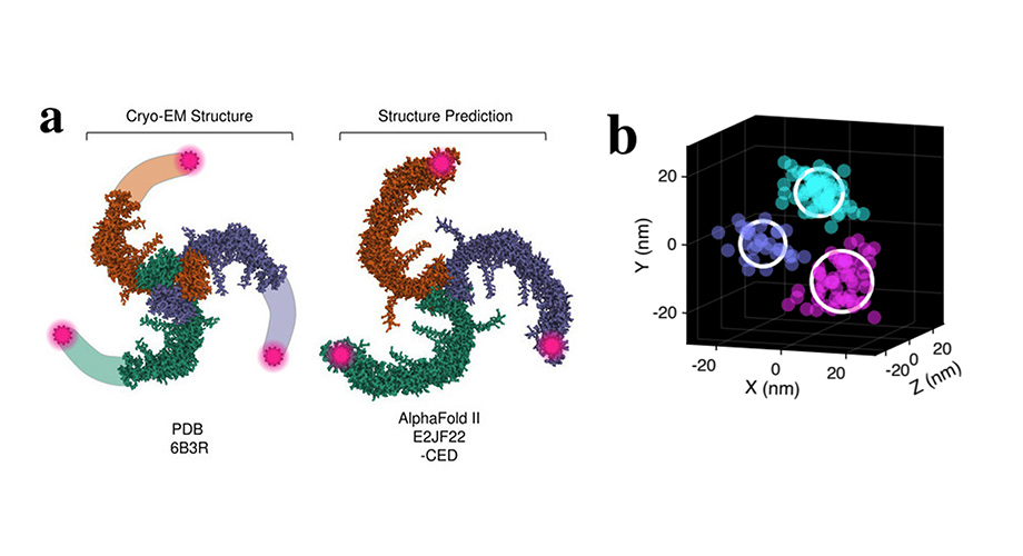 scrippsresearch's tweet photo. A new study by @ardemp and colleagues shows how the cellular environment can shape the structure of the mechanosensor #PIEZO1, revealing the basic molecular movements underlying channel activation https://t.co/orm6gg2QeY @Nature https://t.co/5HiR3TTedD