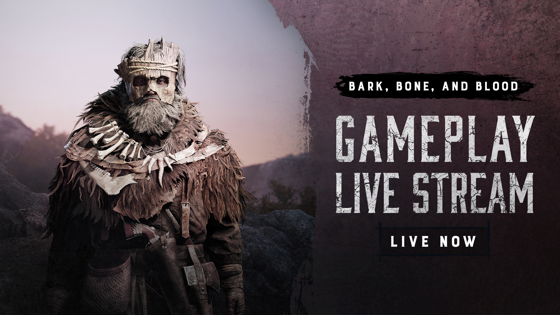Bark and bone hot sale