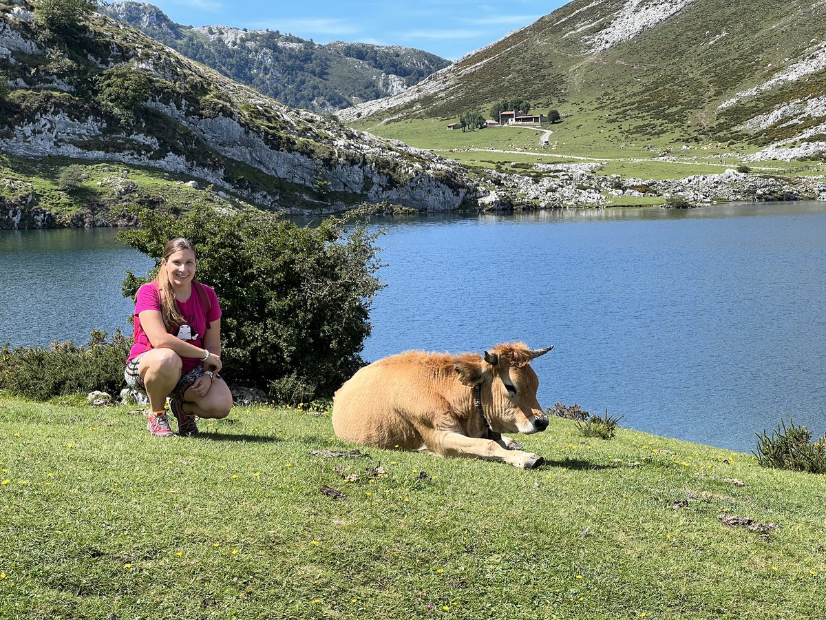 MrcdsSanchez's tweet photo. … GWT versión Asturies (version KS con stretchgoals) …
#gwt #masqueoca #veranojugon #devacas #boardgames https://t.co/GYXKc6cX5l