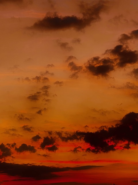 Fiery Summer Skies, Poole, Dorset. 🌊
Picture sent in to us by local photographer Emma Spicer <a href="/emmaspicer2003/">@emmaspicerphotography</a> #LoveDorset