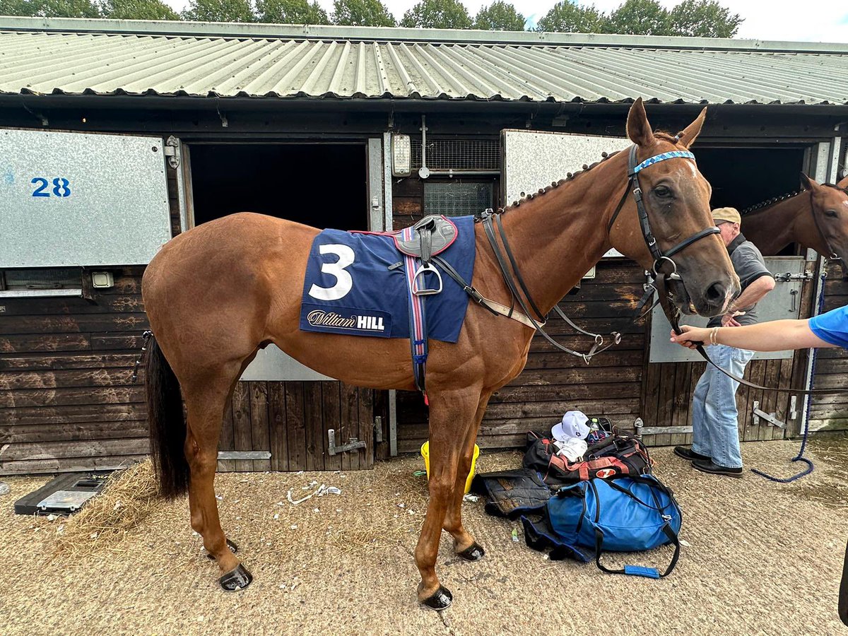 Call Me Ginger’s ready @WindsorRaces for @RacingLeagueUK , @Hayleyturner123 rides him & Water Of Leith later for @JimGoldieRacing & team Scotland @LindaPerratt ! 🏴󠁧󠁢󠁳󠁣󠁴󠁿