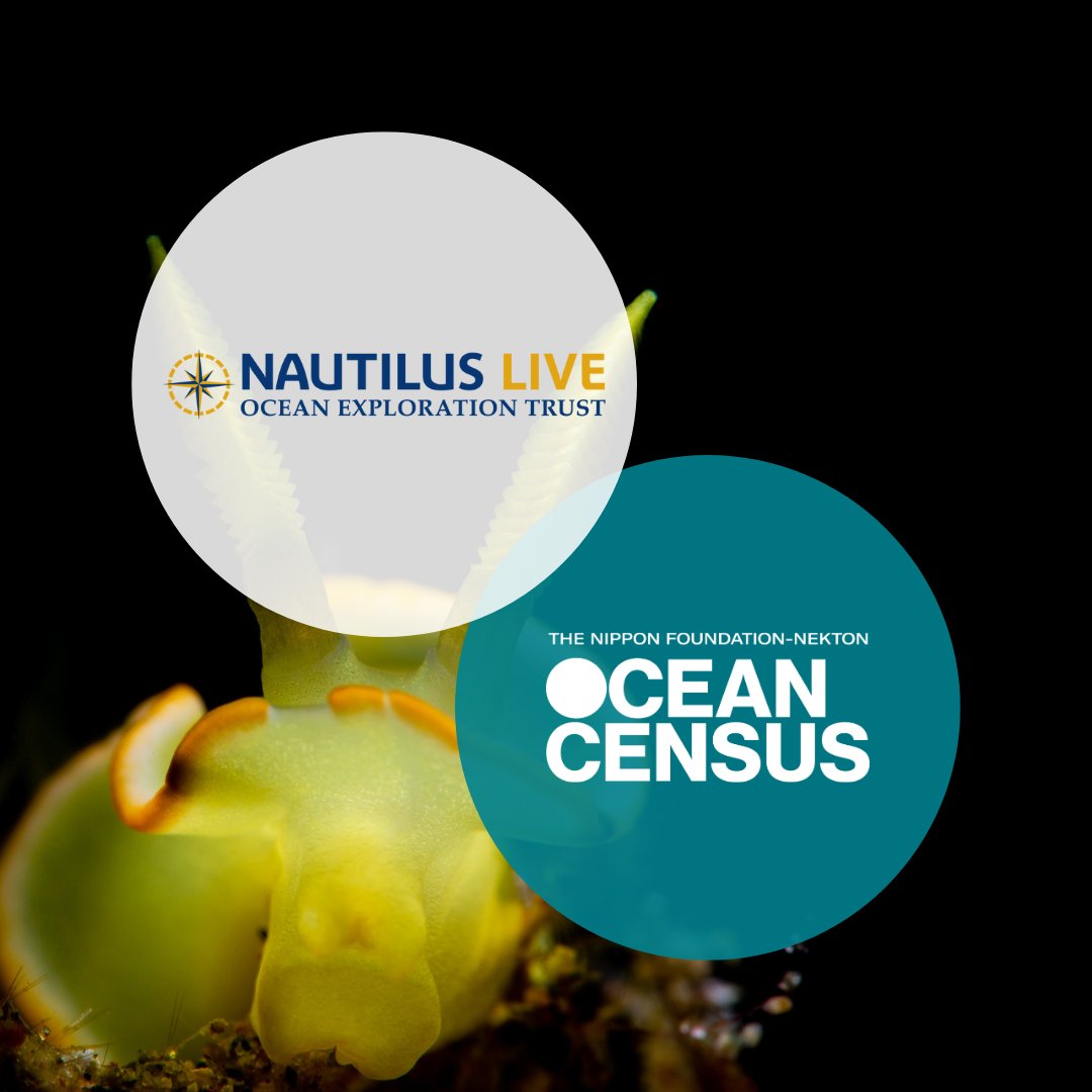 We’re pleased to announce our partnership with Ocean Exploration Trust, combining forces to accelerate the discovery of ocean life.

oceancensus.org/ocean-explorat…

<a href="/nautiluslive/">Ciber Nautilus</a>

#ocean #oceandiscovery #oceanscience #alliance