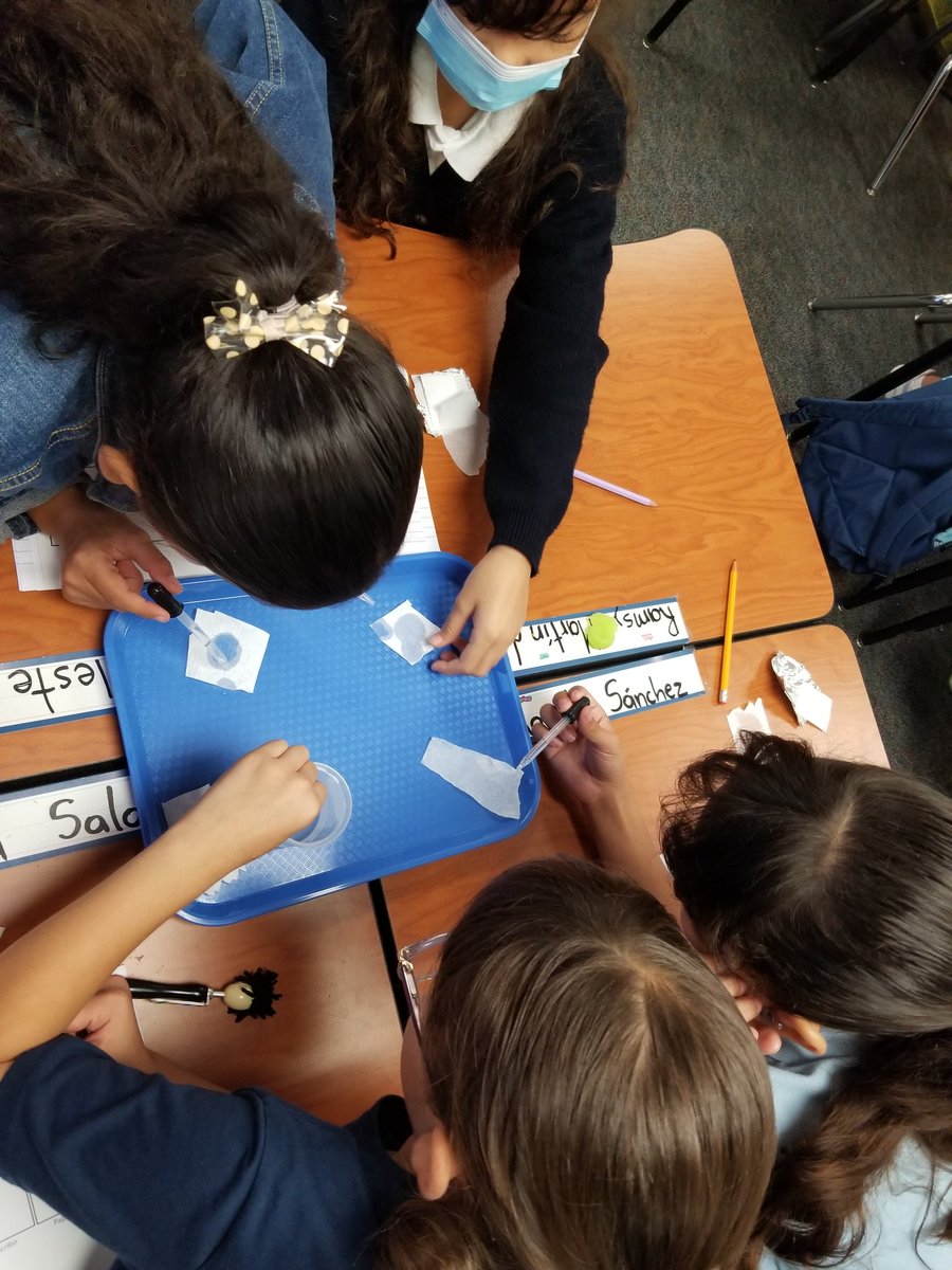 OBrienLiteracy's tweet photo. Science investigations in action! Students collaborating,  making discoveries,  and using new vocabulary.  Gracias maestra @Claudia85058437 for welcoming me to your class! #duallanguage https://t.co/JbwyqNURuS