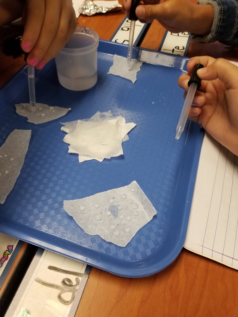 OBrienLiteracy's tweet photo. Science investigations in action! Students collaborating,  making discoveries,  and using new vocabulary.  Gracias maestra @Claudia85058437 for welcoming me to your class! #duallanguage https://t.co/JbwyqNURuS
