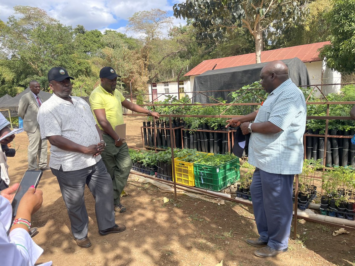 dinmusau's tweet photo. Together with @KEFRIHQ Board Chairman & Board members, we visited Tiva Seed centre to familiarize ourselves with the core mandate of #KEFRI. Wowed to see the F1 & F2 Melia (aka Mukau) tree research come to fruition. 15B trees is achievable, we have what it takes. #JazaMiti https://t.co/rZ9XZpBCPG