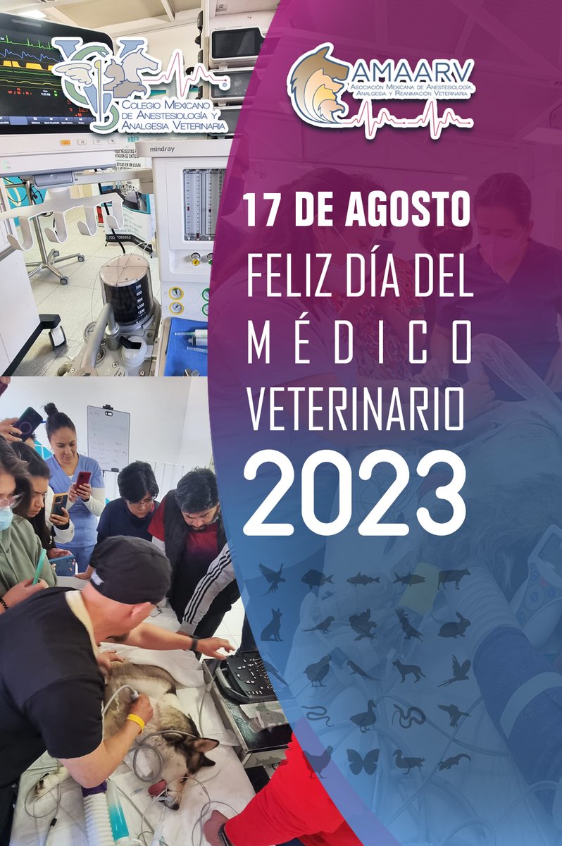 cmaavet's tweet photo. Hoy celebramos el día del Médico Veterinario 2023, felicitaciones colegas Mexicanos
📷📷📷📷📷📷📷📷📷📷
#veterinariosmexico #veterinarios #veterinarymedicine #vet https://t.co/WWL8YFcCPD