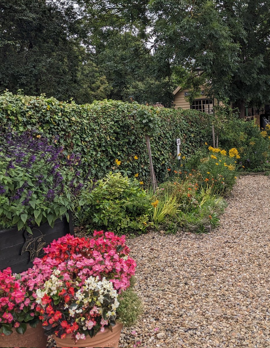 Horticulture volunteers at the North Yorkshire Moors Railway have been tending to the plants, on the path leading to the old Pickering South signal cabin.