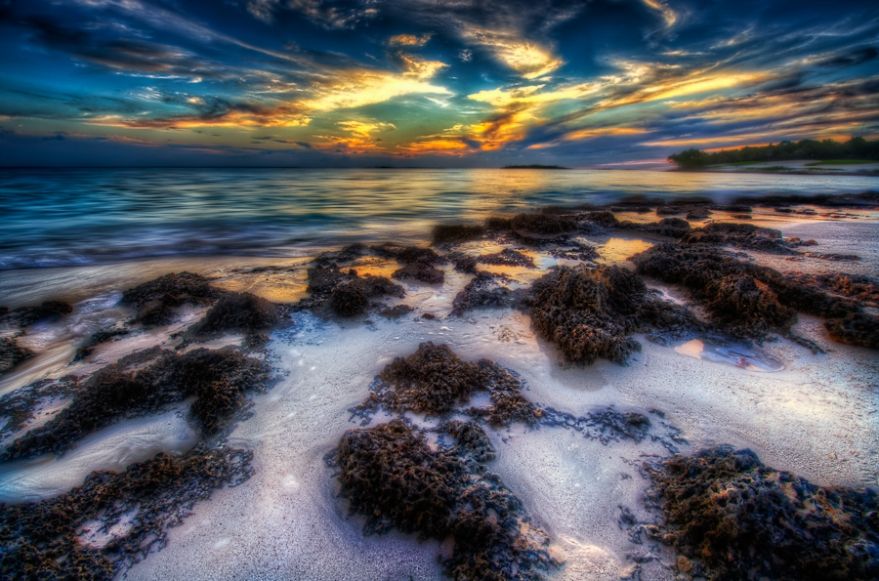 🌞 Chase sunsets, collect memories. 🌅 

With Crystals Travels, every day is a canvas painted with new experiences in the Grand Bahamas. 

Leave footprints in the sand on pristine beaches. 

Where's your next sunset destination? ☀️ 

#ChasingSunsets #TravelGrandBahamas 🌅