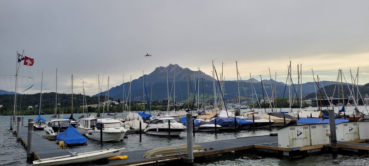 oldschool_STR's tweet image. #luzern #zentralschweiz
#floodlights football coming up
#fcluzern v #hibernianfc #hibs #hibees