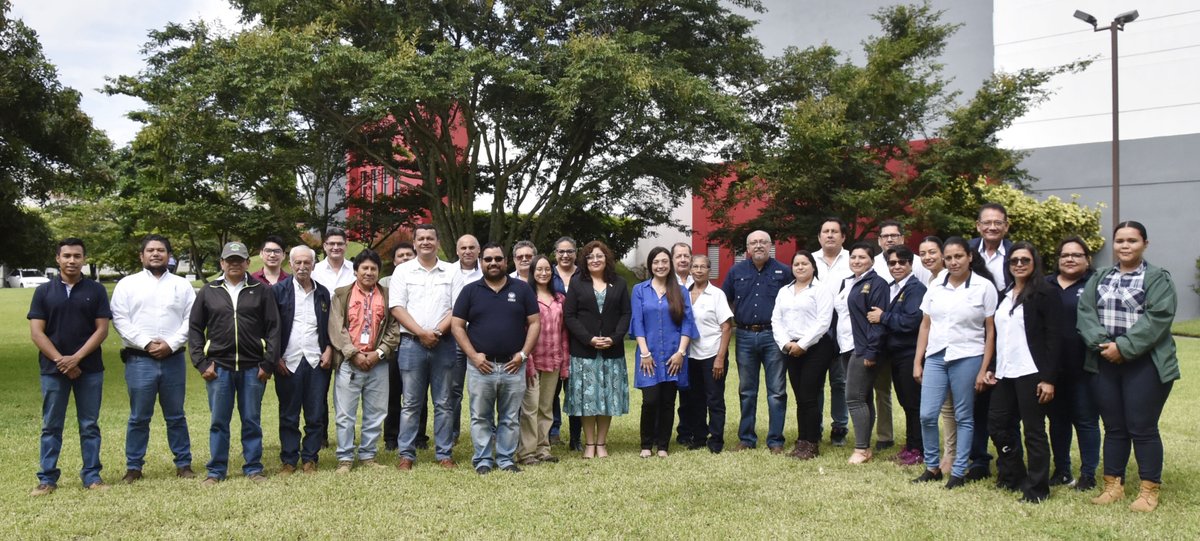 OIRSA (@oirsaoficial) on Twitter photo #ElSalvador🇸🇻 Efectúan Curso Nacional de Vigilancia Fitosanitaria🌿, con énfasis en la enfermedad de Fusarium R4T en cultivos de banano y plátano🍌. La actividad es organizada por <a href="/AgriculturaSV/">Ministerio de Agricultura y Ganadería 🇸🇻</a> y el #OIRSA, con el apoyo estratégico de <a href="/el_BID/">Banco Interamericano de Desarrollo</a> #ElSalvador🇸🇻 Efectúan Curso Nacional de Vigilancia Fitosanitaria🌿, con énfasis en la enfermedad de Fusarium R4T en cultivos de banano y plátano🍌. La actividad es organizada por <a href="/AgriculturaSV/">Ministerio de Agricultura y Ganadería 🇸🇻</a> y el #OIRSA, con el apoyo estratégico de <a href="/el_BID/">Banco Interamericano de Desarrollo</a>
