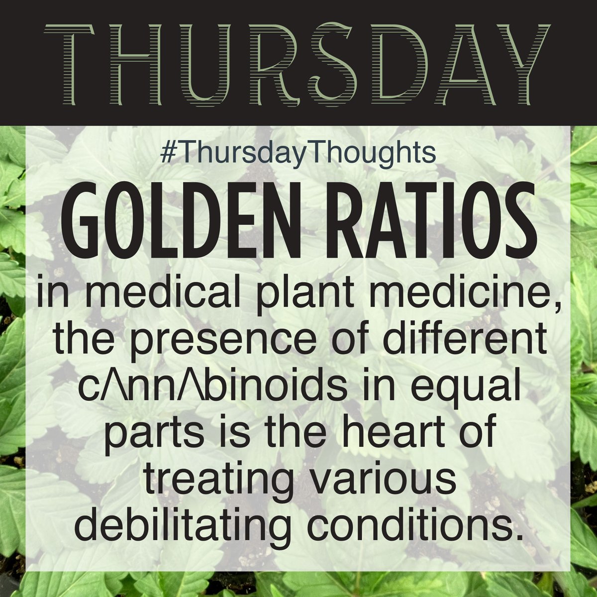 Don’t buy into the misconception that the effects of one molecule cancels another out. In medical treatments, the #GoldenRatio of 1:1 or 1:1:1 is used to enhance how your Endocannabinoid System receives the medicine and how one molecule upgrades the experience of another.