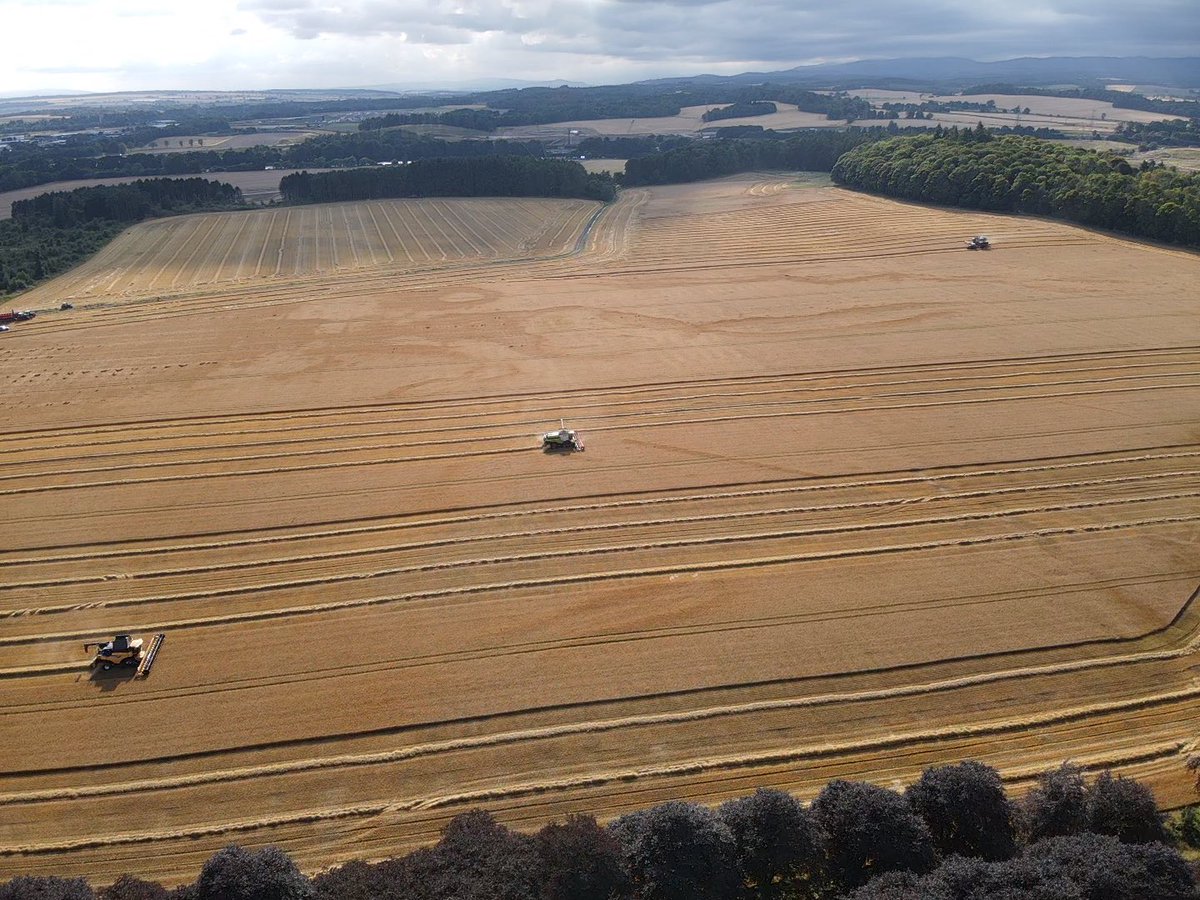 Grewar Farming tweet media