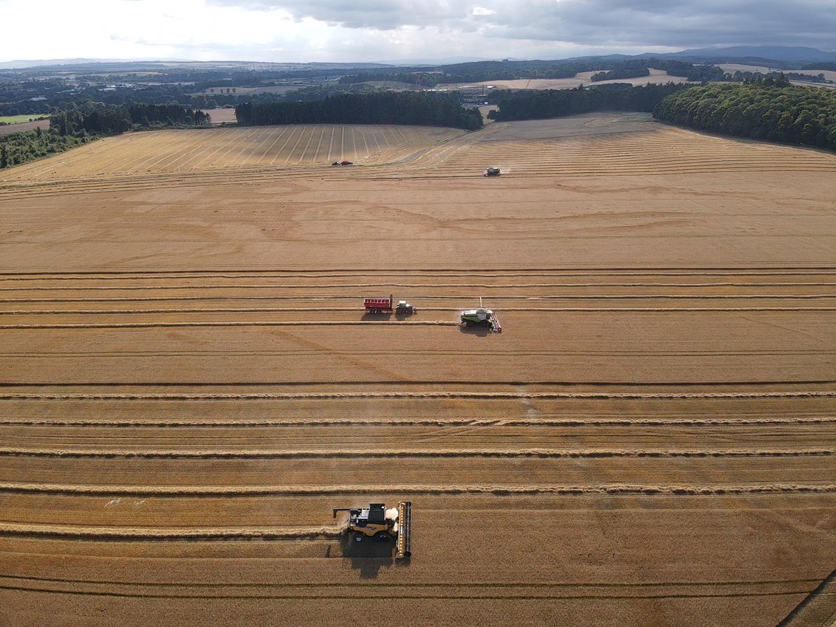 Grewar Farming tweet media