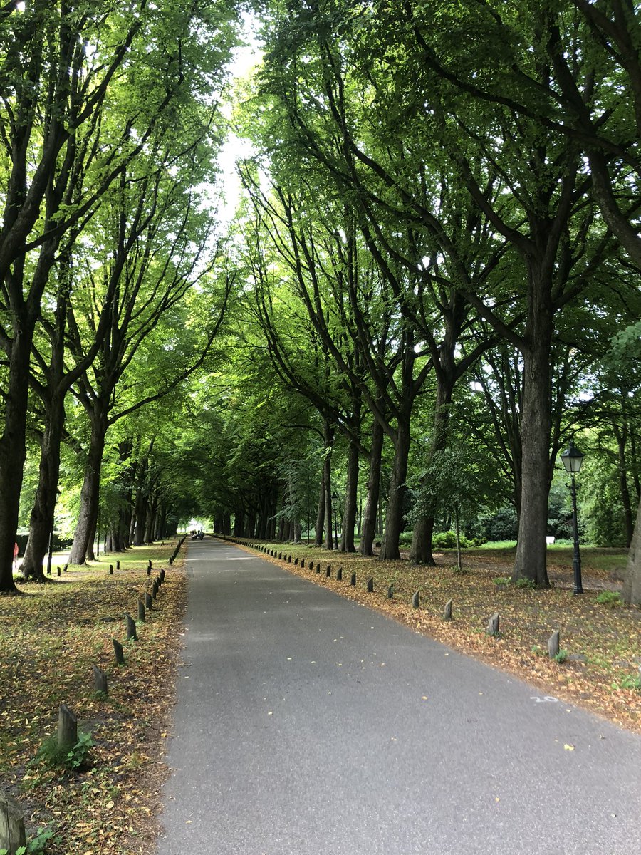 Onder de lange lindenlaan. Prachtig beeld en heerlijk koel. En dat weten meer mensen, gezellig druk op deze rustige en groene oase in de stad. Landgoed Ockenburg <a href="/ZHLandschap/">Zuid-Hollands Landschap</a>