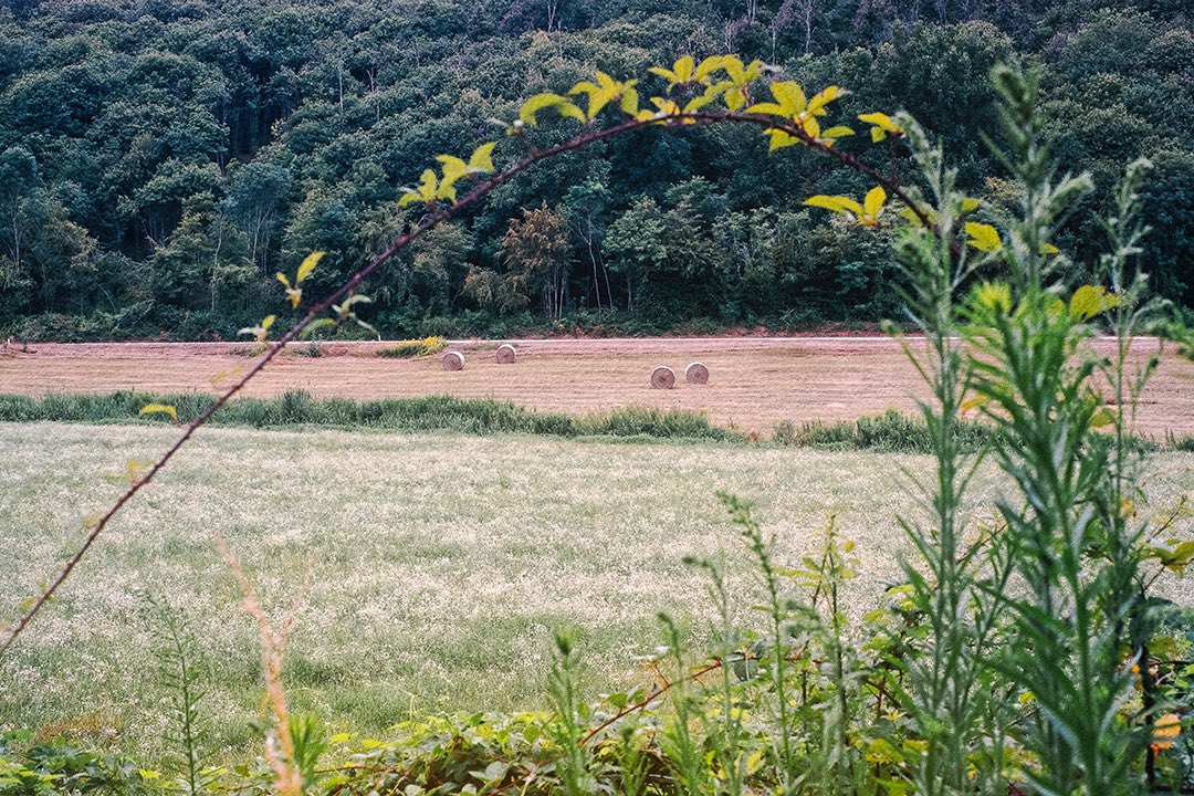 stefaniazandi's tweet photo. Momenti d’Estate. 👒🌾 https://t.co/lnZBDxDm2R