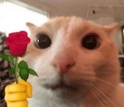 rick_blngl's tweet photo. @akihiraaa i luv youuu. this is for you. https://t.co/DMbjUa9HVw