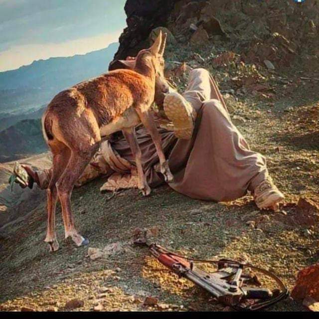 Baloch09620245's tweet photo. جہاں بندوق انسانیت کی بقا کے لئے استمعال ہو 
وہاں جانور بھی محافظوں پر اہتماد کرتے ہیں،
#بلوچستان https://t.co/SRIt1zkJ5N
