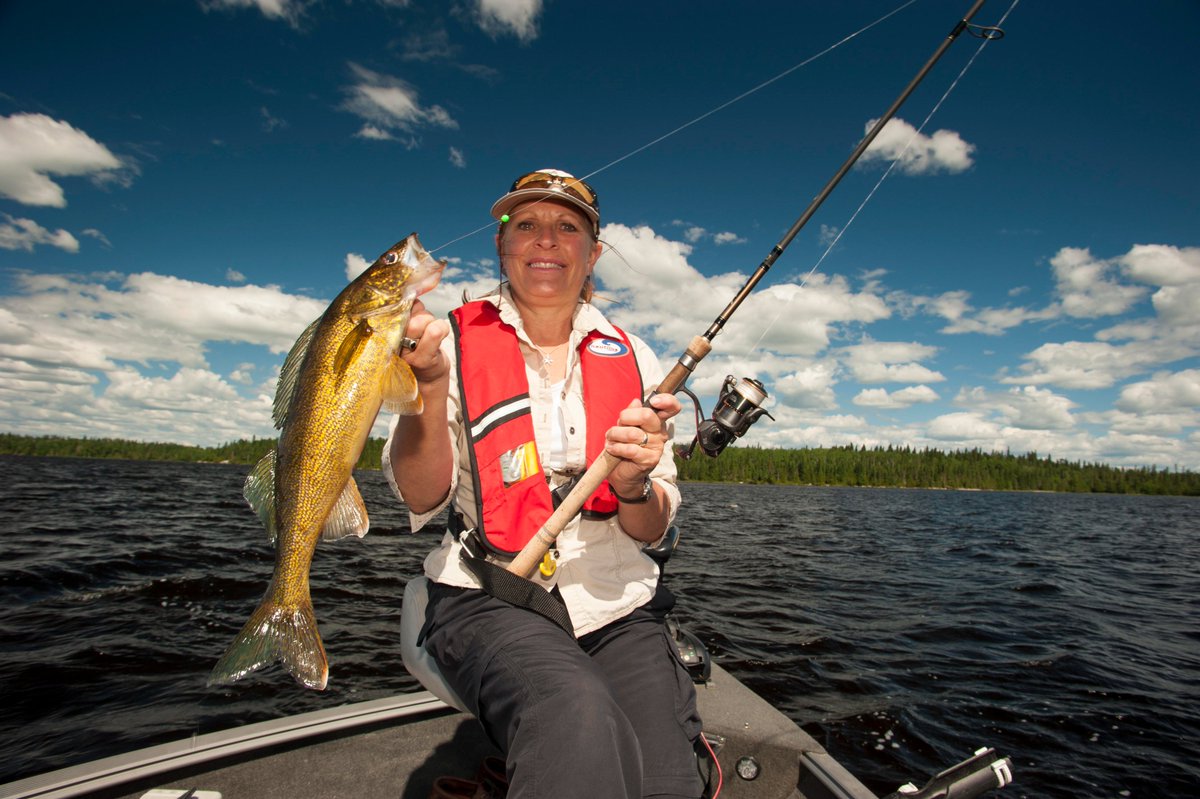 Ontario Parks NE tweet media