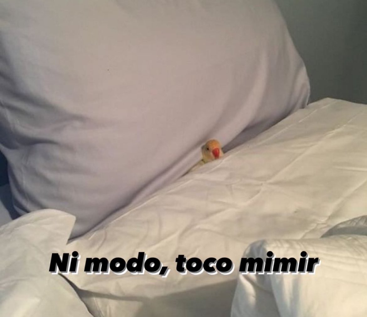 flanchota's tweet image. *cualquier rato libre que tenga*

- yo: