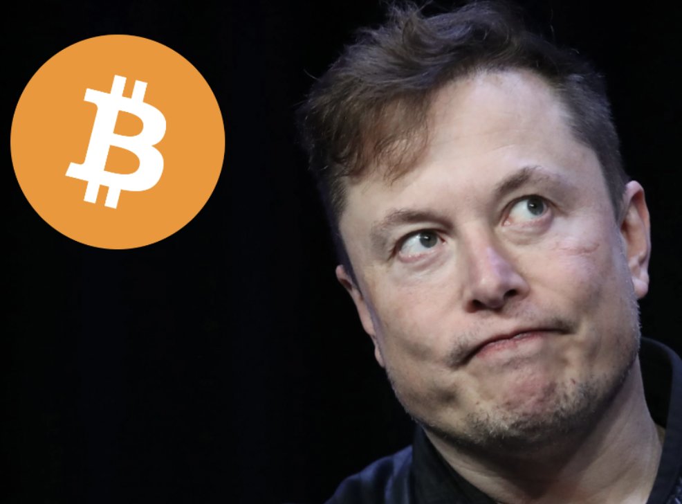 pete_rizzo_'s tweet photo. Elon sold more #Bitcoin. Buy signal 🚀 https://t.co/QothHphIHs