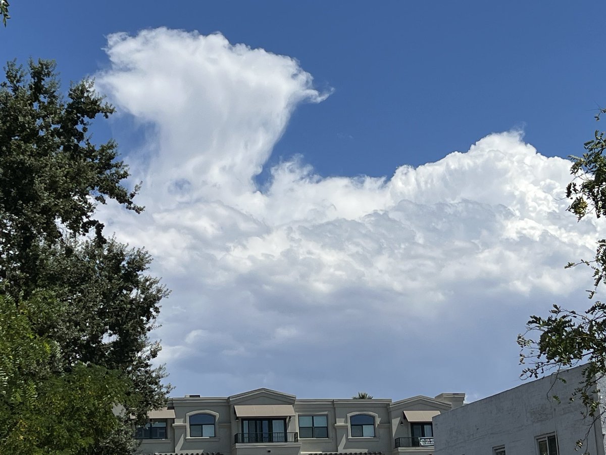 LizSDVM's tweet image. #Thundercloud #CentralValleyCA my view looking east southeast - maybe near #Modesto? Getting more impressive by the minute