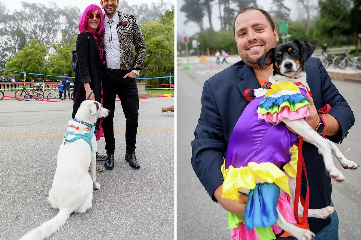 LukeBornheimer's tweet image. Prom on the Prom is this Saturday and you — yes you — should join the fun and festivities!

Tell your friends/neighbors/coworkers, get dressed up, and have fun with people (and dogs) of all ages 💃🏻🕺🏻🥳

RSVP (it’s free): partiful.com/e/f2X8M2fFoS62…

More info: PromOnTheProm.com