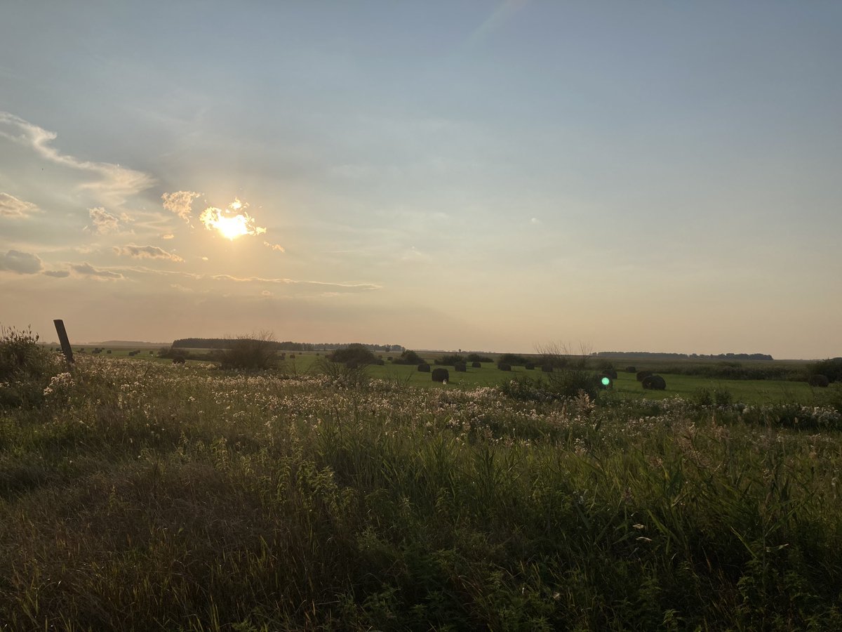 живу сарказмом (@windy_day0) on Twitter photo 