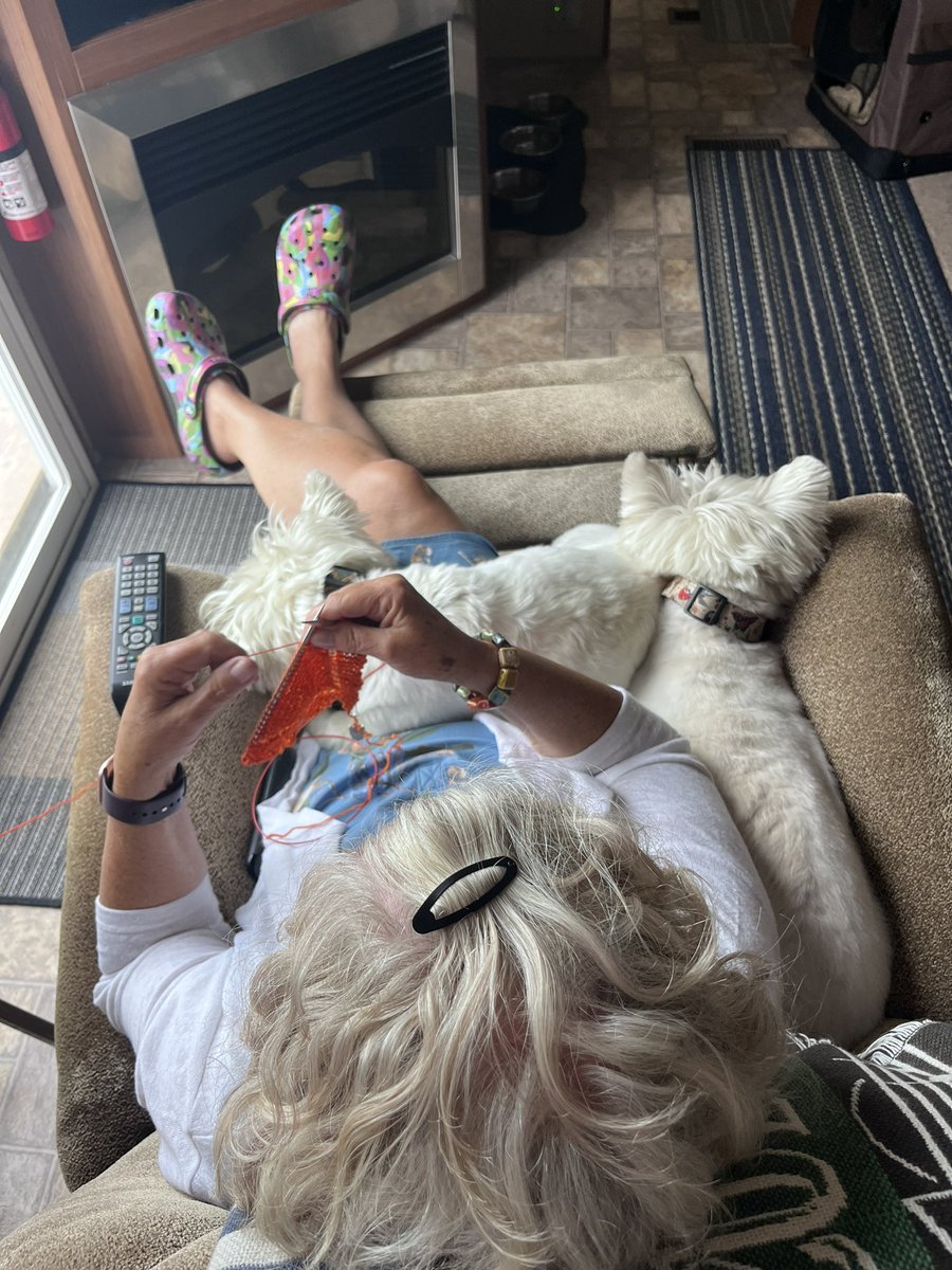 I never knit alone at the camper 🤣#Westies #Camping #knitting