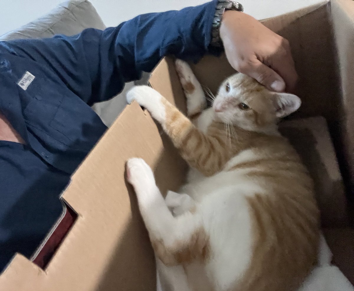 Jaydt33's tweet photo. El más que jode! #ElChito 😺 https://t.co/N2sv7lPN1g