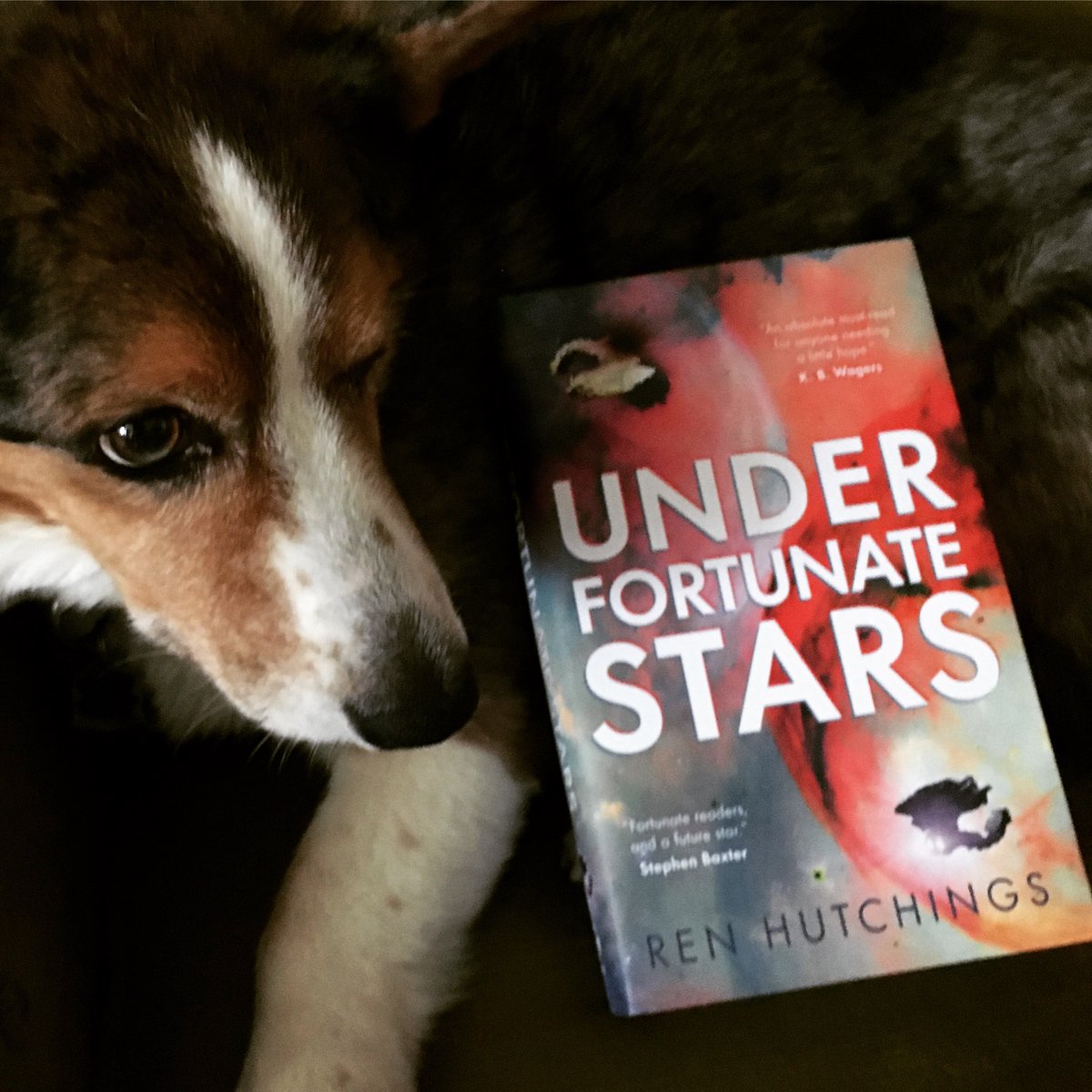 This is such a great book, pictured with such a good fox-pup! Happy birthday @voidcricket!