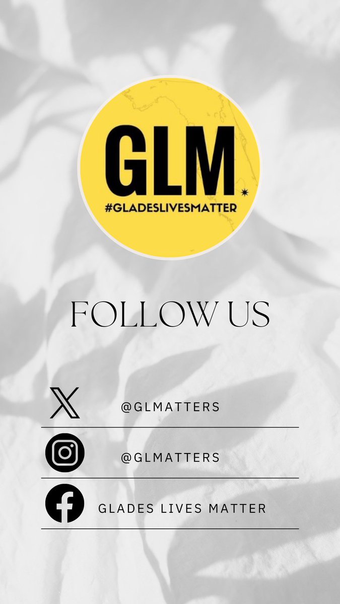 glmatters's tweet photo. 👋 Hello! https://t.co/eWCUMmTk08