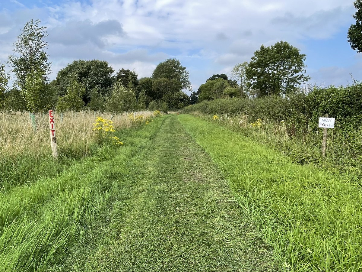 Wotton parkrun tweet media