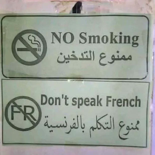 LinguisticsShi1 tweet picture