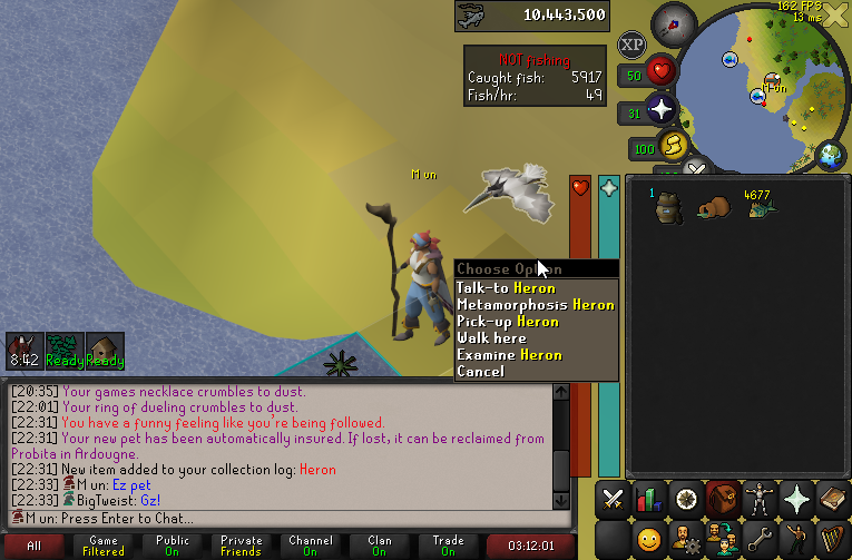 MunchiseOSRS's tweet photo. Heron Pet (#3) on the HCIM! https://t.co/TkiAETNwo6