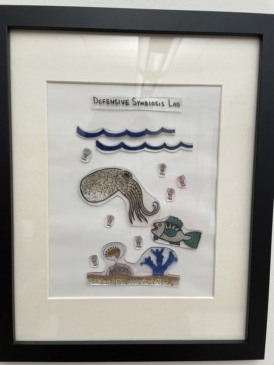 The Suria Lab is officially open! So thrilled to be joining the wonderful biology department <a href="/OhioWesleyan/">Ohio Wesleyan University</a> and to keep working on the genetics of bacterial competition (in squid 🦑) with amazing undergrads! 

(Beautiful lab sign is thanks to my postdoc advisor, Alecia Septer ❤️)