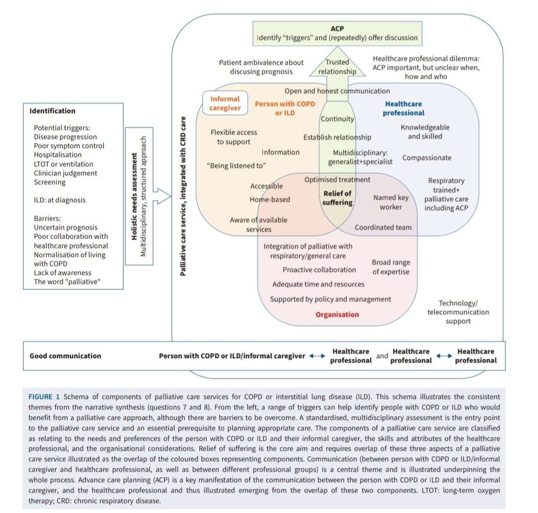 Palliative Care for COPD / ILD: ERS Guidelines. 
doi.org/10.1183/139930…
🫁😨😱🙏🏻📚
<a href="/ERSpublications/">ERS publications</a> <a href="/EuroRespSoc/">ERS</a> <a href="/atscommunity/">American Thoracic Society (ATS)</a> <a href="/ALATorax/">ALAT</a> <a href="/NeumoMadrid/">Neumomadrid</a> <a href="/socapnet/">SOCAP 🫁</a> @neumopararesis <a href="/SPLF_SocPneumo/">Société de Pneumologie de Langue Française (SPLF)</a> <a href="/pneumobell/">Pneumobellvitge</a> <a href="/pneumosbpt/">Sociedade Brasileira de Pneumologia e Tisiologia</a> <a href="/SeparRespira/">SeparRespira</a> @DGPneumologie <a href="/Lungeninfo/">Lungeninfodienst</a>
