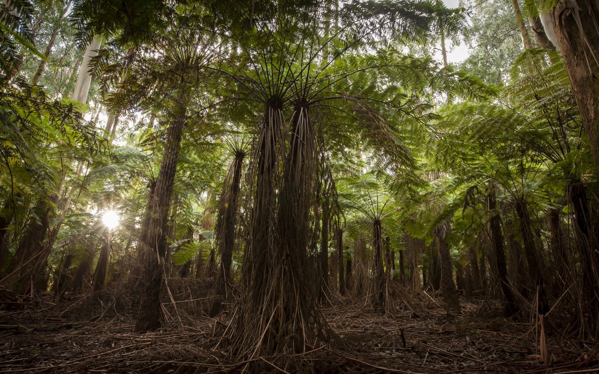 bioGraphic tweet media