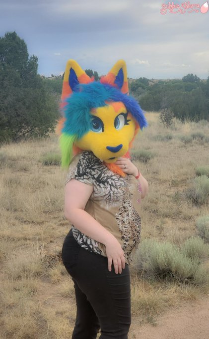 Am I a cute kitten? 🥺   Sorry for the quiet, turns out 3 cons in a month is A LOT and I've been cramming<a href="/tag/newprofilepic"class="tags"><span>#newprofilepic</span></a>