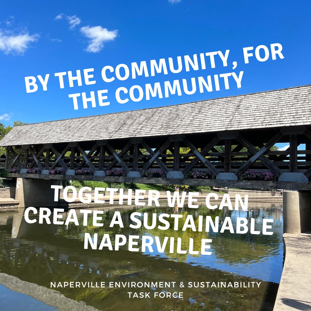 The Naperville Environment &amp; Sustainability Task Force has developed a 15 year plan to achieve a more sustainable Naperville. NEST is run by the community, for the good of the community!

Learn more about Sustainable Naperville 2036 here: sustainnaperville.org/2036

#community