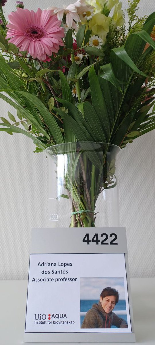 Adriana Lopes dos Santos tweet media