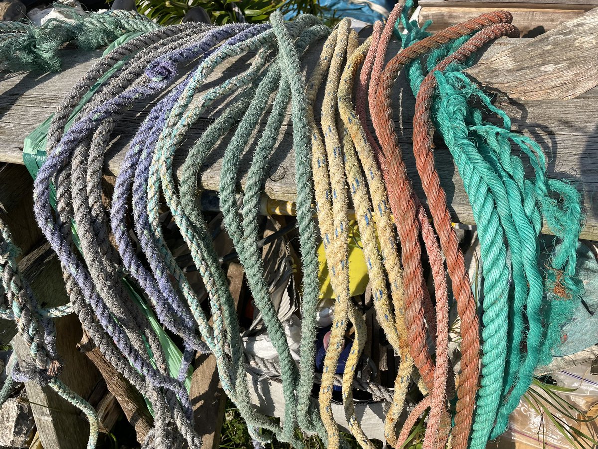 SuilanSpink's tweet photo. Sorting of #ADLFG every rope #disintegrating The #Rainbow cut lengths are being made into a #sculpture @halftheocean to add awareness. Considering our #beachcleans are 90% #Fishing by weight think of what is creating #microplastics besides your #plastic #clothes! @SAMSoceannews https://t.co/mhKUfLEnTc